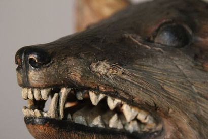 Trophée de Renard.
Sujet en bois sculpté...