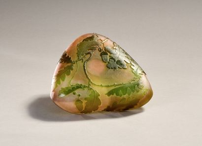 Établissement Émile GALLÉ (1846-1904). 
Curieuse...