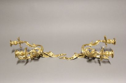 Paire d'appliques à deux bras de lumière...
