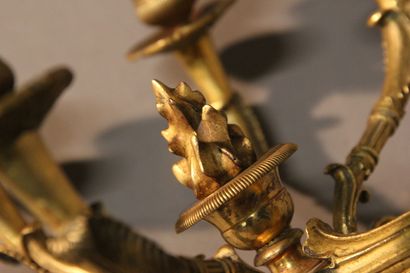 Paire d'appliques en bronze doré et ciselé...