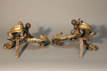 Paire de chenets en bronze à double patine...
