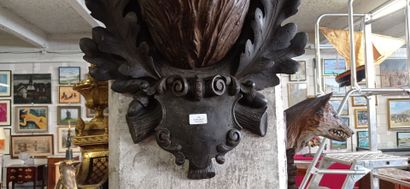 Très important trophée de cerf 14 cors en...