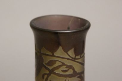 Émile GALLÉ (1846-1904).
Vase à long col...