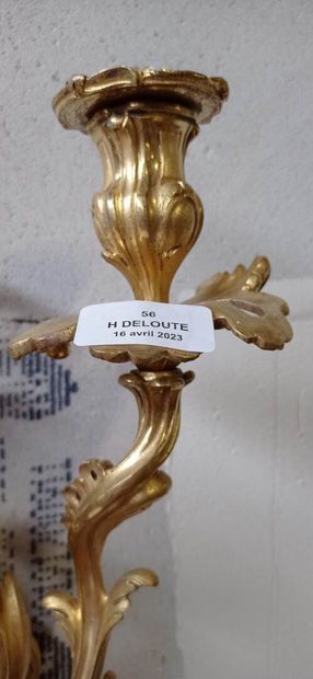 Paire d'appliques à deux bras de lumière...