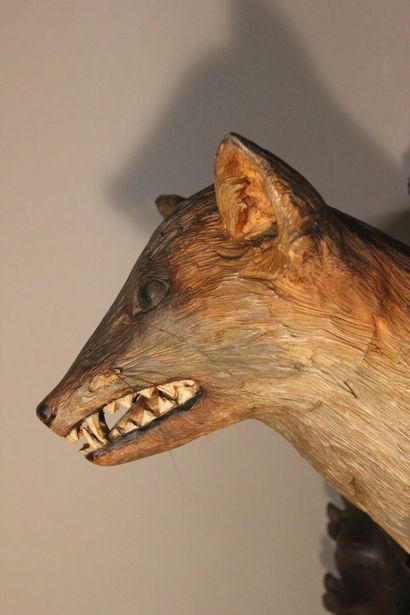 Trophée de Renard.
Sujet en bois sculpté...