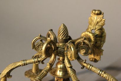 Paire d'appliques en bronze doré et ciselé...