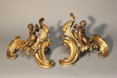 Paire de chenets en bronze à double patine...