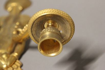 Paire d'appliques en bronze doré et ciselé...