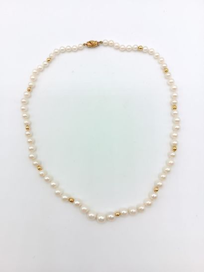Collier 