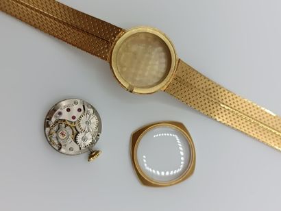 NITELLA incabloc 17 jewels. Swiss made.
Montre...
