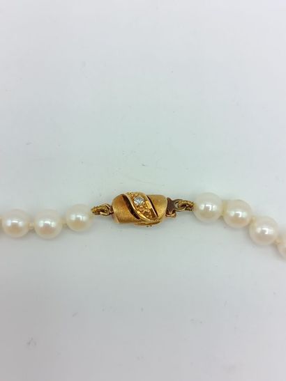 Collier 