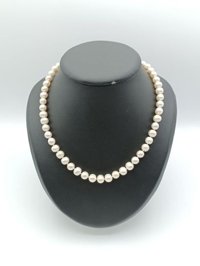 Collier princesse simple orné de perles de...