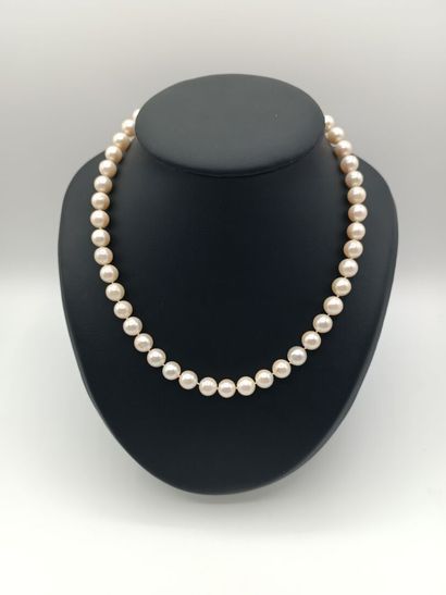 Collier 