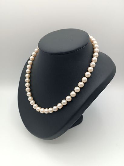 Collier 