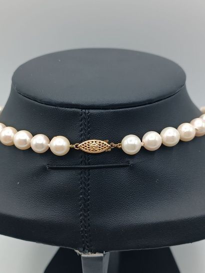 Collier 