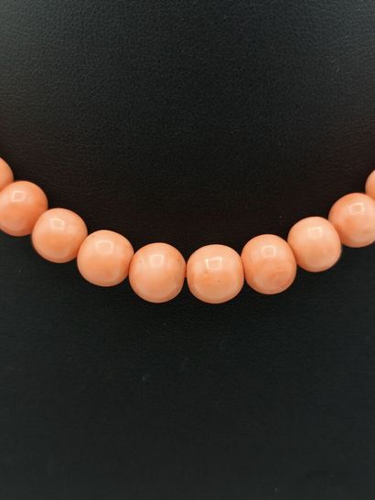 Collier en chute orné de billes de corail.
Fermoir...