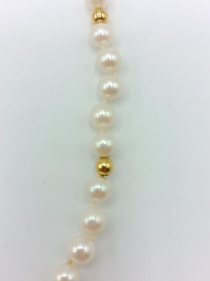 Collier 