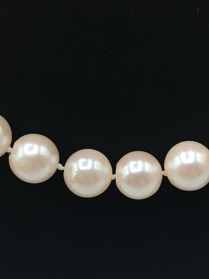 Collier 