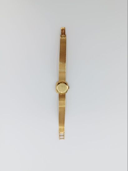 NITELLA incabloc 17 jewels. Swiss made.
Montre...