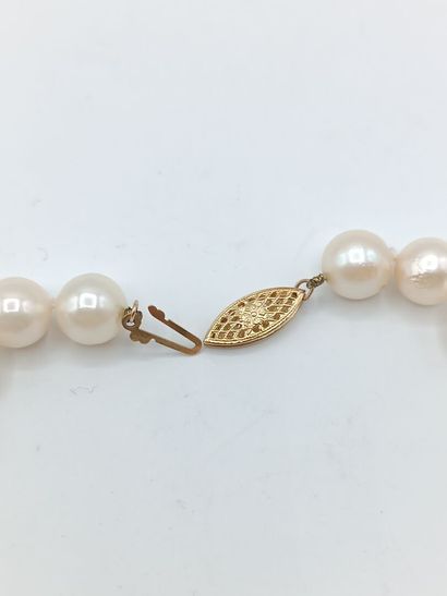 Collier 