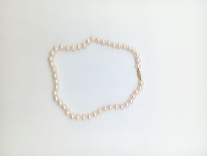 Collier 
