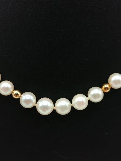 Collier 