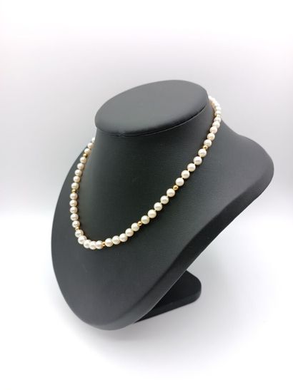 Collier 