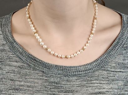 Collier 