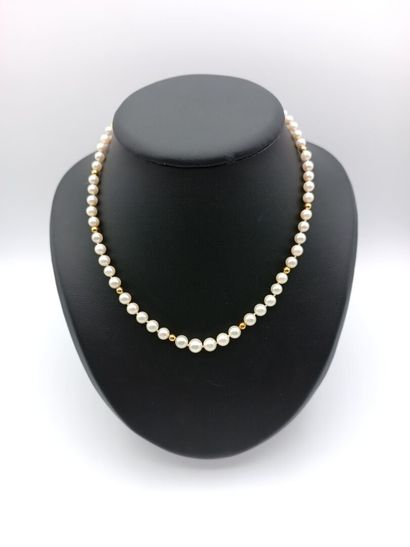 Collier 