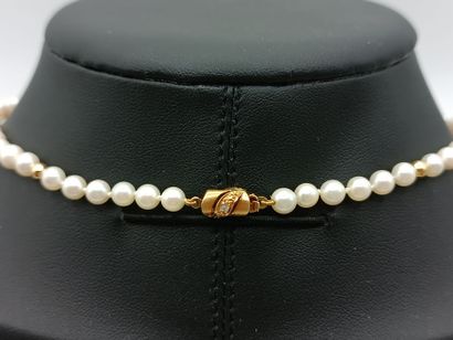 Collier 