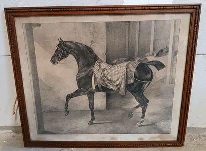Théodore GERICAULT (1791-1824), d'après....
