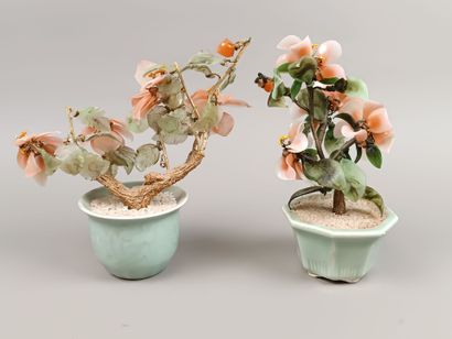 CHINE
Deux petits arbres décoratifs (bonsaïs?)...