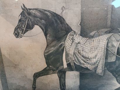 Théodore GERICAULT (1791-1824), d'après....
