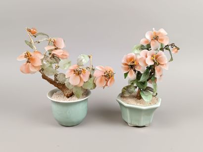CHINE
Deux petits arbres décoratifs (bonsaïs?)...