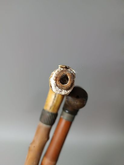 Lot de deux cannes en bois.
La première au...