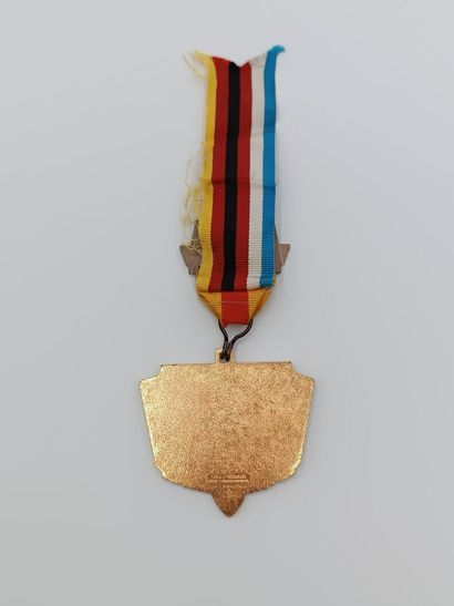 Médaille allemande avec cocarde des couleurs...