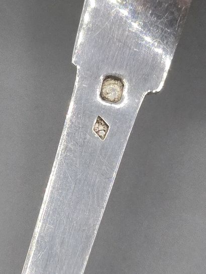 Rectangular silver sugar spoon with atypical...