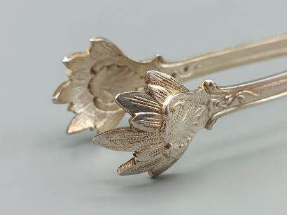 Louis XV style silver sugar tongs.
Minerve...