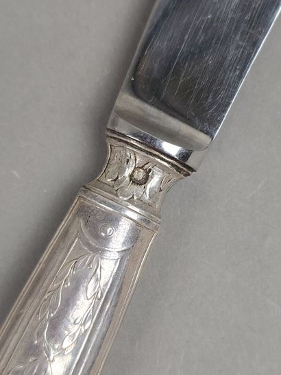 Set of 12 table knives with stainless steel...