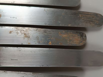 Double set of knives with forged silver handles...