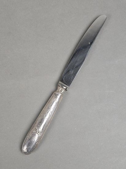 Set of 12 table knives with stainless steel...