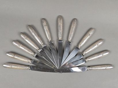 Set of 12 table knives with stainless steel...