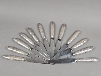 Set of 12 table knives with stainless steel...