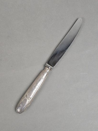 Set of 12 table knives with stainless steel...