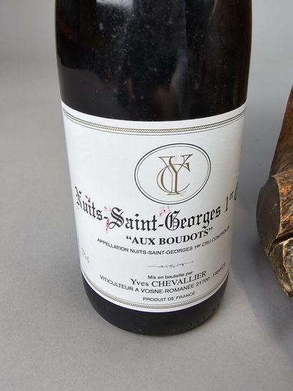 BOURGOGNE
NUITS SAINT GEORGES Premier Cru...