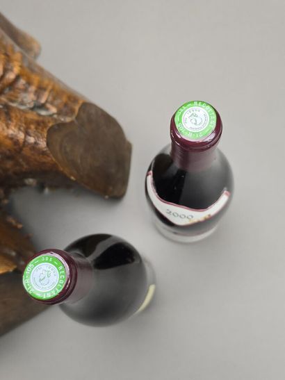 POMMARD
Michel Rebourgeon
10 B: 8 B cuvée...