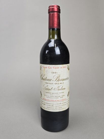 SAINT-JULIEN
Château Branaire (Duluc Ducru)
9...