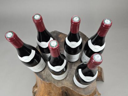NUIT SAINT GEORGES 1er cru 