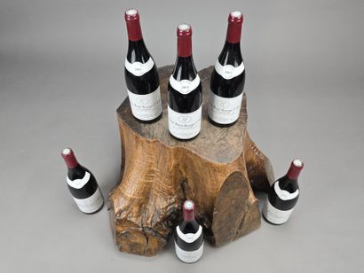 BOURGOGNE
NUITS SAINT GEORGES Premier Cru...