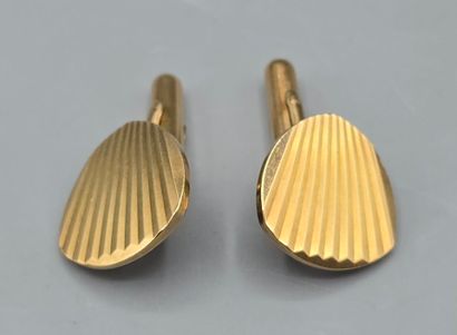 Lot de bijoux fantaisies comprenant : 

-SHIVAS....